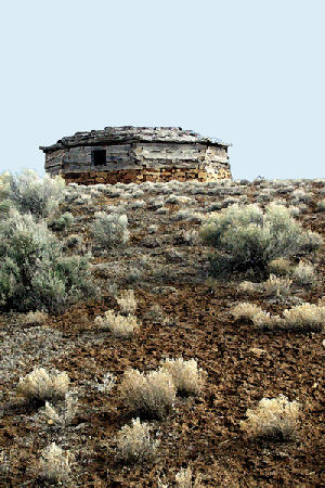 Hannan Print Gallery