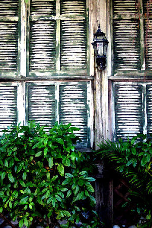 Hannan Print Gallery