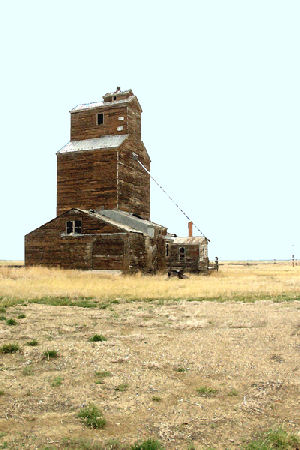 Hannan Print Gallery