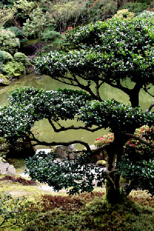 Hannan Print Gallery