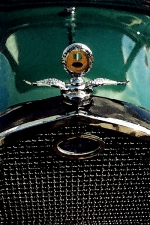 AUTO-13.jpg