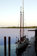 S-81.JPG