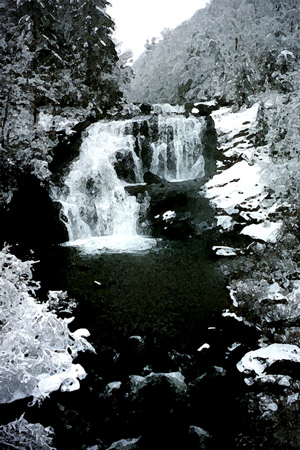 Bald River Falls