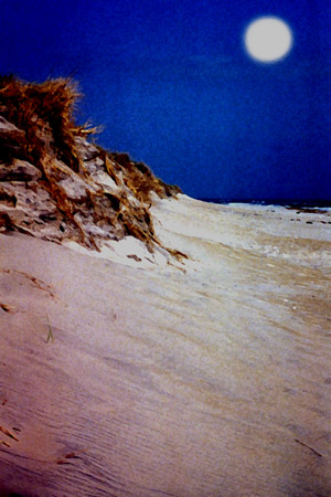 Moon Dune