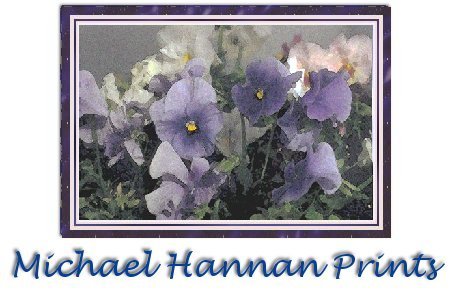 How to order from Hannan Gallery.