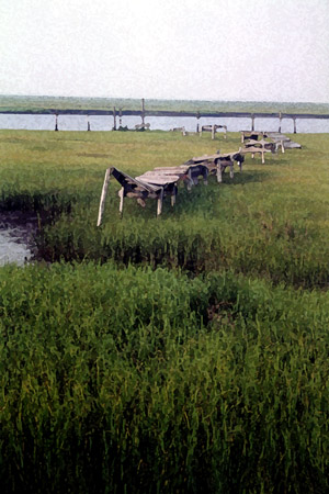 Salt Marsh Dock
