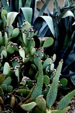 FL-44.jpg
