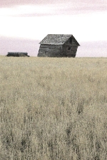 Filename=L-27.JPG
Filesize=42KB
Dimensions=300x450
Date added=Mar 18, 2012 L-27.JPG
