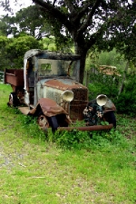 Filename=M-21.JPG
Filesize=72KB
Dimensions=300x450
Date added=Mar 18, 2012 M-21.JPG